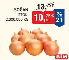 SOĞAN KG fiyat ve kampanya bilgisi